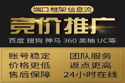 大型企业SEM外包实战案例