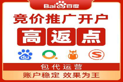 SEM广告投放中的数据监控与调整策略——以某品牌营销案例为例