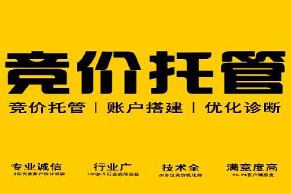 案例剖析：关键词竞价排名成功之道